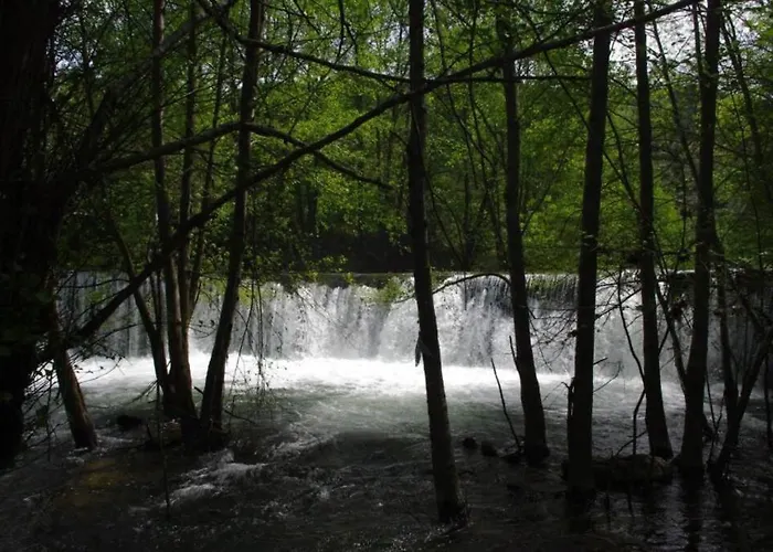 Casa Restaurante O Pites 別荘 *