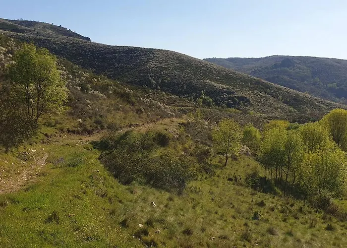Casa Restaurante O Pites